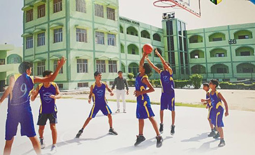showcase image